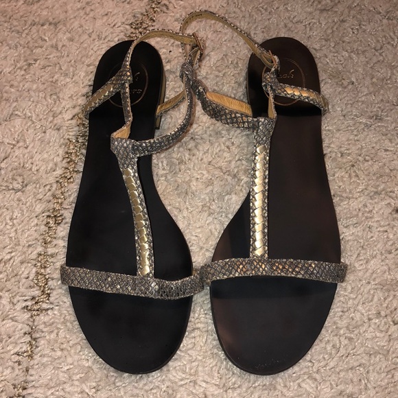 Jack Rogers Shoes - 🌻Jack Rogers Sandals